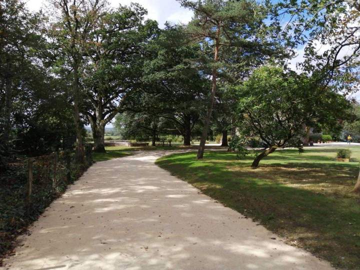 Entretien espaces verts Cholet