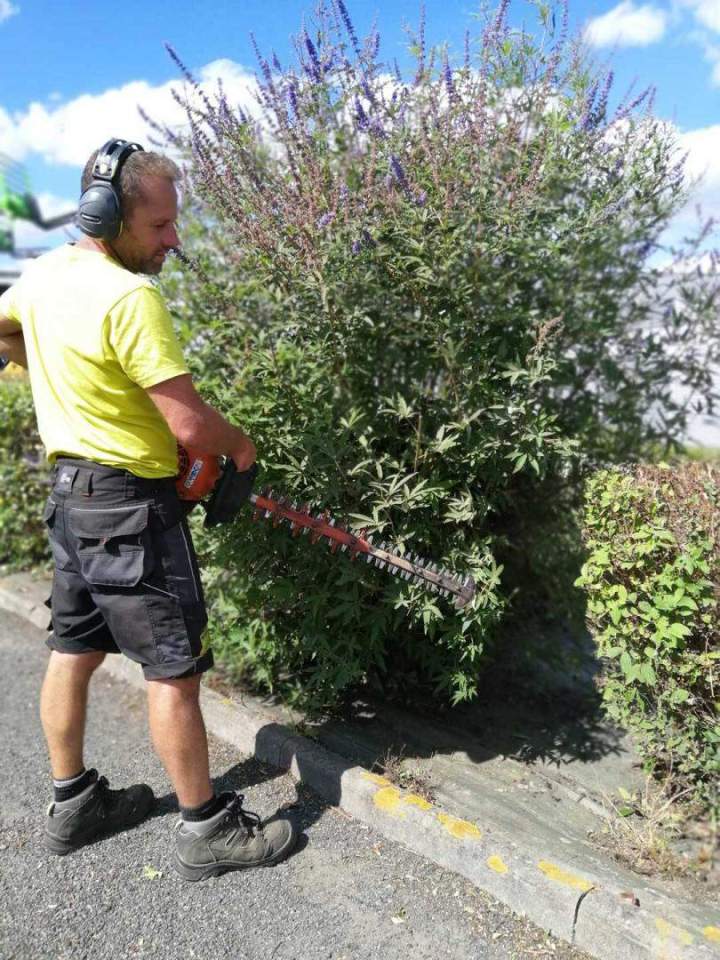 Entretien paysager Cholet