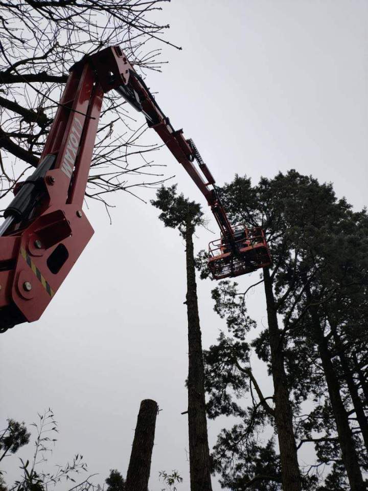Élagage rapide Cholet